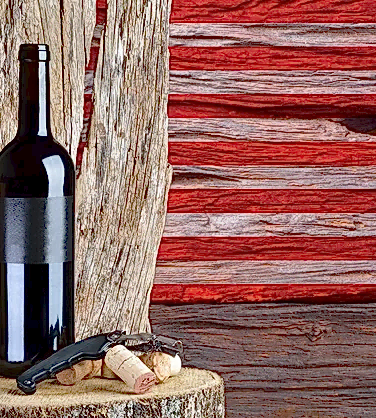 Дегустация вин США