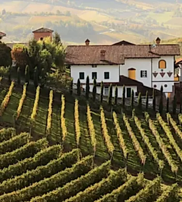 Дегустация вин Италии