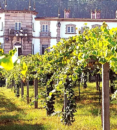 Дегустация вин Испании