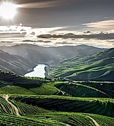 Дегустация вин Португалии