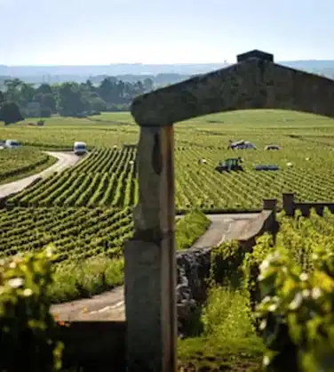 Дегустация вин Франции