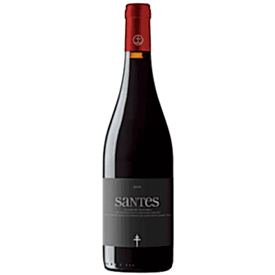 Красное сухое вино Portal de Montsant Santes Montsant DO 