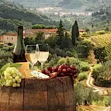 Почему белое вино такого цвета?