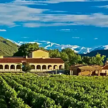 Почему вино сухое?