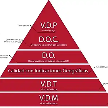 Категории вин