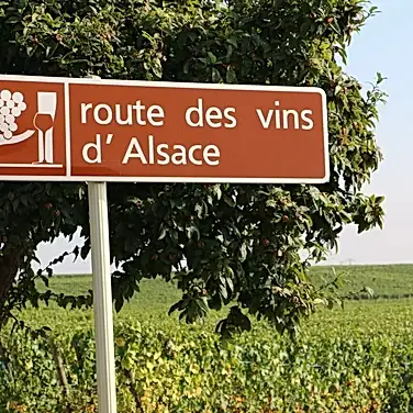 Дорога вина - путь к познанию вкуса