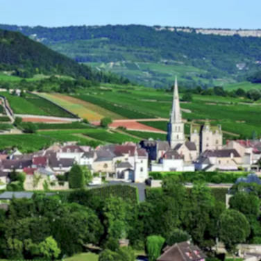 Самое дорогое вино