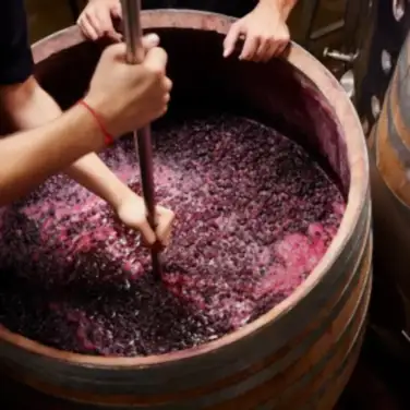 Брожение вина