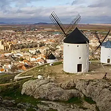 Органические вина